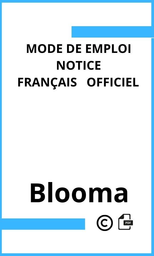 Mode d'emploi four  Blooma Français