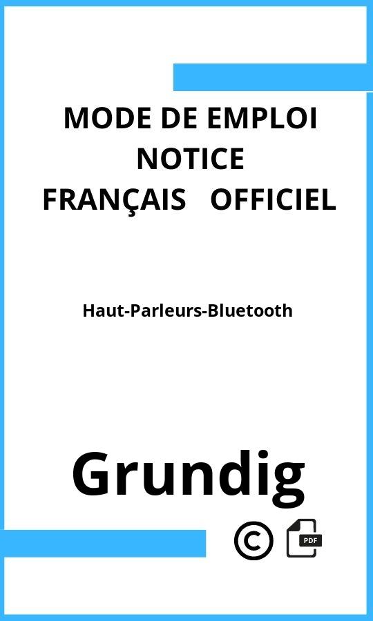 Mode d'emploi four Haut-Parleurs-Bluetooth Grundig Français