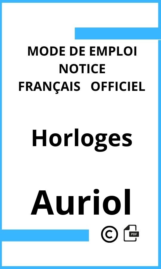 Auriol Horloges Mode d'emploi Français