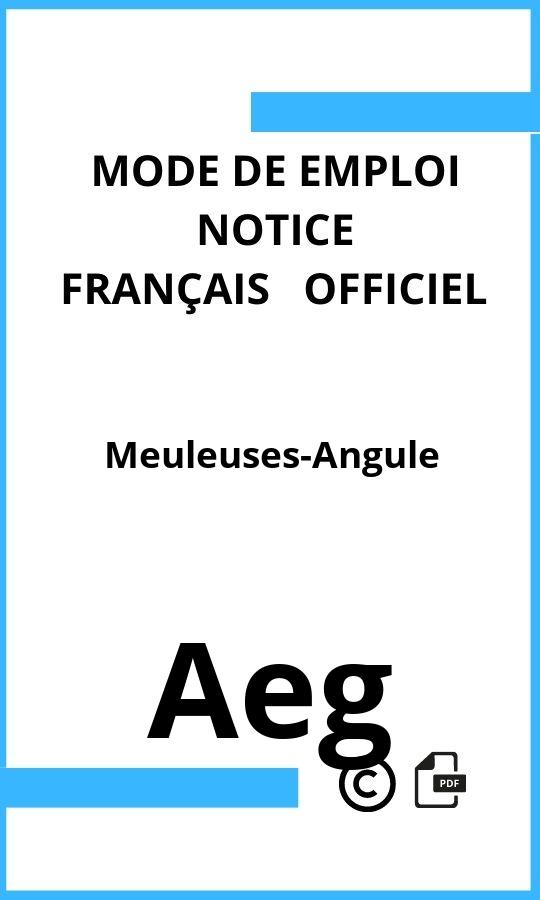 Aeg Meuleuses-Angule Mode d'emploi Français