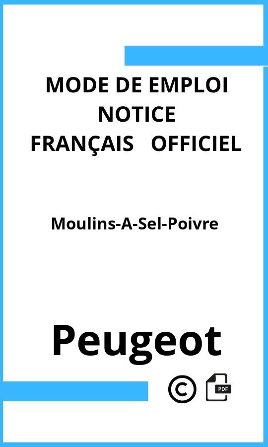 Peugeot Moulins-A-Sel-Poivre Mode d'emploi Français