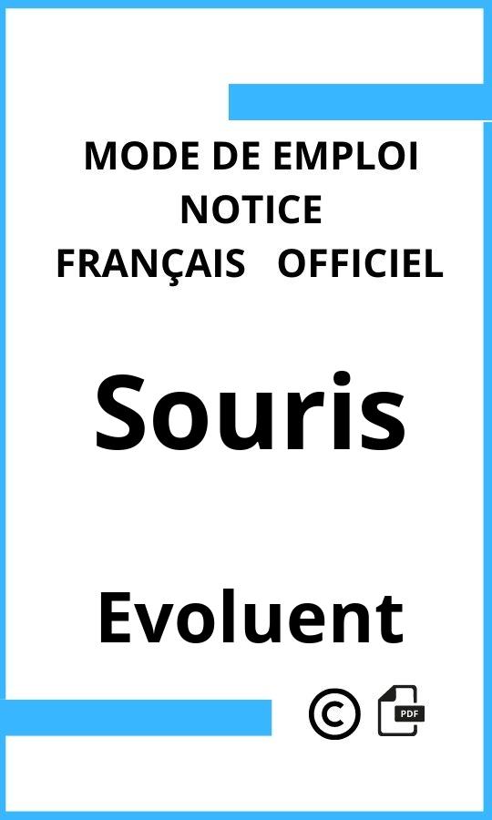 Mode d'emploi four Evoluent Souris Français