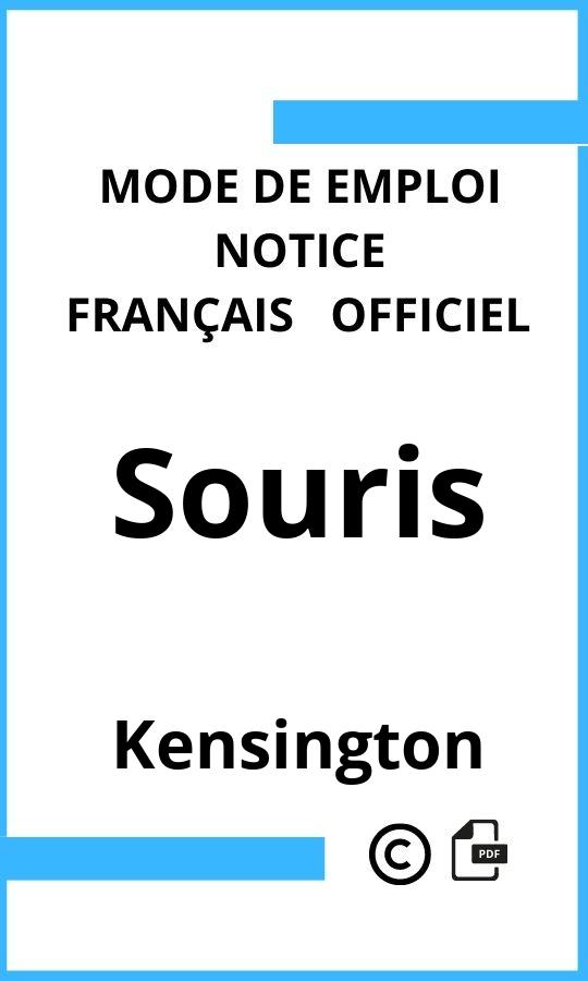 Mode d'emploi four Souris Kensington Français