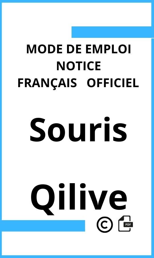 Qilive Souris Mode d'emploi Français