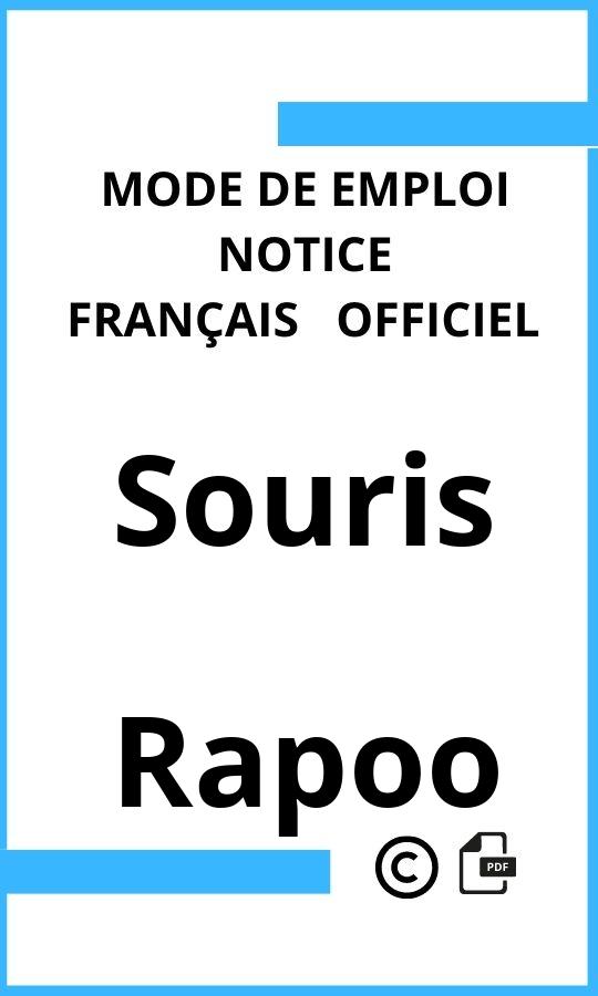 Mode d'emploi four Rapoo Souris Français